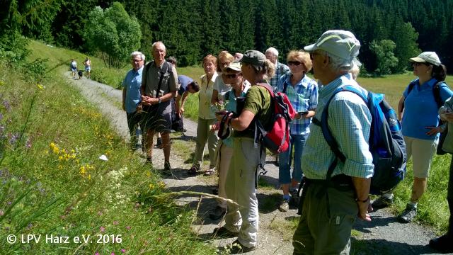 Bergwiesenwanderung um die Rappbodevorsperre 2016
