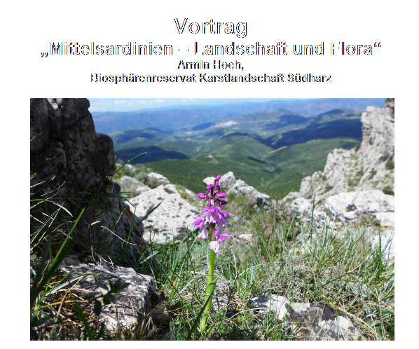 Plakat_Armin Hoch
