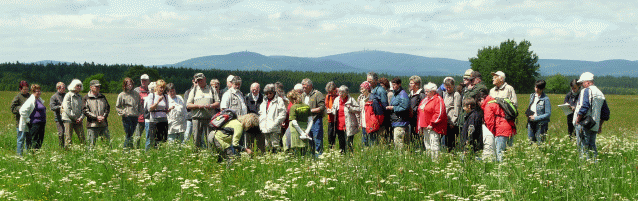 Wiesenwanderung mit Brockenblick