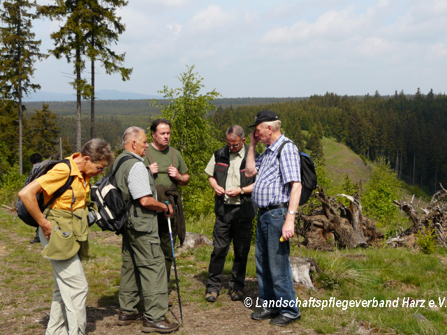 Fachsimpeln mit Brockenblick