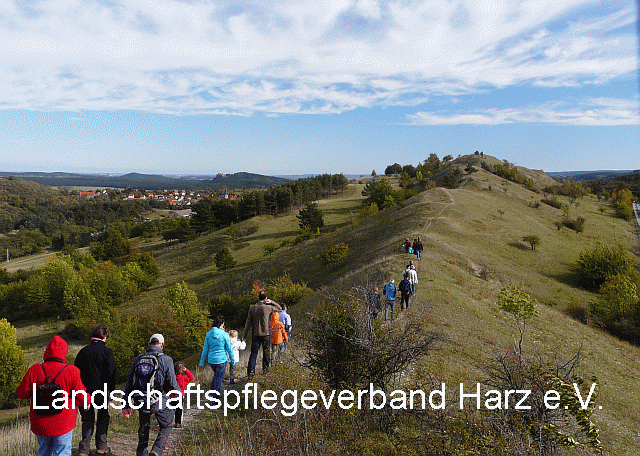 Blick vom Struvenberg zum Regenstein