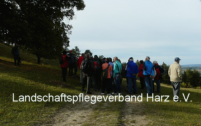 Märchenstunde an der Schäferlinde